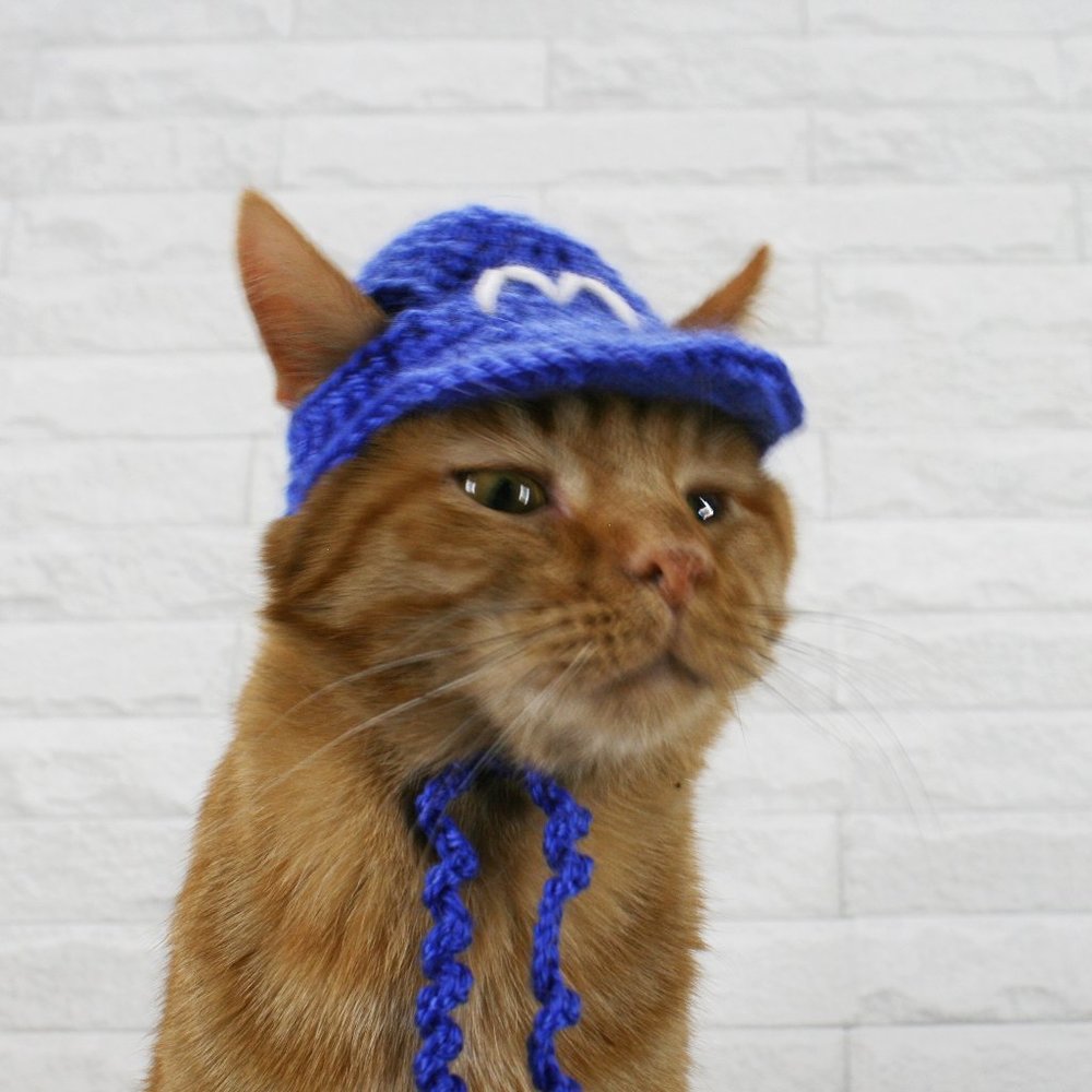 HAND CRAFTED Baseball Cat Hat Visor Crochet Hairy Wig Costume Photo Prop - Picture 5 of 15